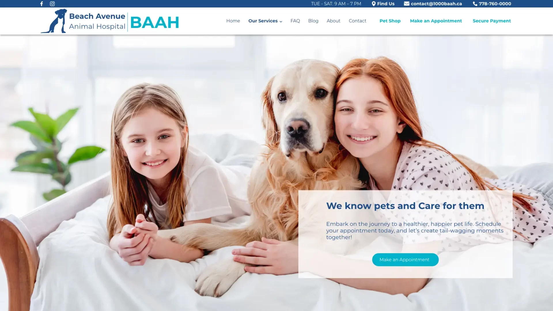 Beach avenue animal hospital website design | vet company in Canada. BC. Vancouver